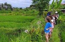 VILLAGE TOUR & RICE FIELDS TREKKING Jambangan Bali