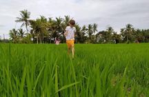 VILLAGE TOUR & RICE FIELDS TREKKING Jambangan Bali