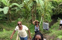 VILLAGE TOUR & RICE FIELDS TREKKING Jambangan Bali