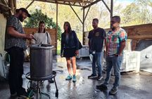 Maipo Valley Wine Tour with 4 vineyards from Santiago.