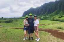 Full Day Private Customized Sightseeing Tour in Oahu Hawaii