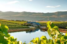 Hermanus Whale Coast Wine Tour (Cape To Grape Wine Tours)