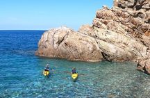 Elba Island Full Day Sea Kayak Tour