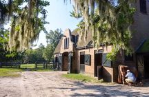 Middleton Plantation-3 hour guided tour- hotel pickup-admission