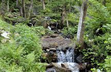 Sapanca and Masukiye Day Trip with Lunch and Hotel Transfer