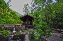 Sapanca and Masukiye Day Trip with Lunch and Hotel Transfer