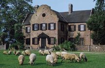 Middleton Plantation-3 hour guided tour- hotel pickup-admission