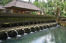 Full-day Private Tour in Ubud