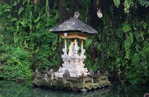 Full-day Private Tour in Ubud