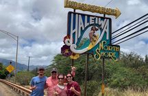 Full Day Private Customized Sightseeing Tour in Oahu Hawaii