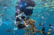 Blue Lagoon Snorkeling and Lunch - Kanto Lampo - Suwat Waterfall - All inclusive