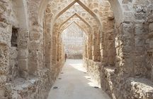 Bahrain Transit Private Tour