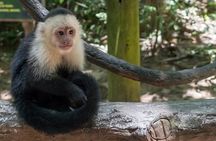 Roatan Mayan Jungle VIP Tour