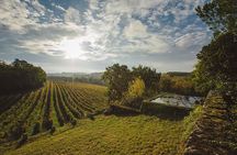Visit and wine tasting: The Musketeers' wine
