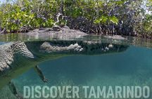 Tamarindo Estuary Tour