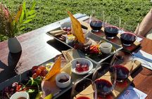 Barossa Valley Behind the Scenes Winery and Vineyard Experience