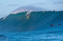 Learn to surf with a local big wave rider on the North Shore of Oahu