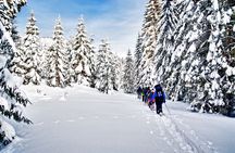Snowshoeing in Levi