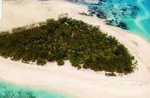 Mnemba Island Snorkeling; Jozani Forest Tour; Kuza Cave; Paje Beach; The Rock