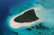 Mnemba Snorkeling; Monkey Tour; Kuza Cave; The Rock; Salaam Cave