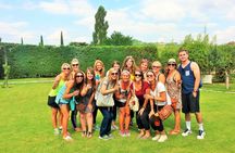 Private Tour in San Gimignano and Chianti Day Trip from Florence