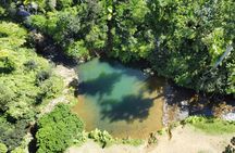 Famous Guavate Pork Road & Charco Azul Food & River Tour