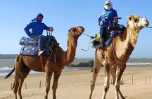 Essaouira: 3-Hour Camel Tour