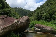 Toro Negro River Hike & Cliff Jumping Adventure; San Juan Pick Up