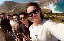 Cape Town Peninsula and Penguins Private Sightseeing Tour