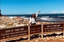 Cape Town Peninsula and Penguins Private Sightseeing Tour