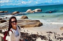 Cape Town Peninsula and Penguins Private Sightseeing Tour