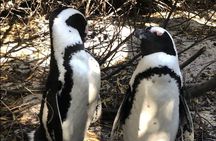Cape of Good Hope, Boulders Beach Penguins and Wine (Traveler's Choice Award)