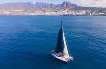 Tenerife Whale Watching in Exclusive 12 seats Chillout Catamaran