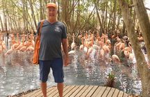 Full Day for Bird Watching with Visit to Isla Baru