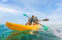 Garrafon Reef Park VIP Area & Snorkeling & Kayaking & Buffet