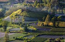 Bali: Guided Mount Batur Sunrise Trekking and Natural Hot Spring Tour