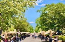 Private Tour - Colonial Life & Revolutionary Role of Williamsburg