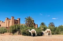 2-Days Ouarzazat & Ait ben Hadou Kasbah tour from Marrakech