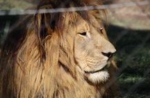 Game drive Day Tour
