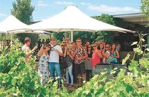 Swan Valley Winery Experience - Full Day Coach Tour