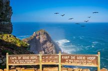 Cape Peninsula Tours
