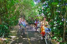 Deluxe North Shore Adventure from Ko Olina