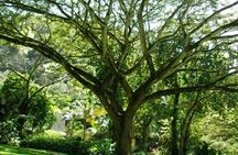 Deluxe North Shore Adventure from Ko Olina