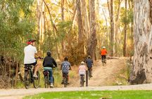 Bike to Winery Tour