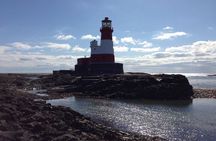 Farne Islands Longstone Lighthouse 2-Hour Trip from Seahouses