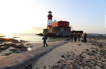 Farne Islands Longstone Lighthouse 2-Hour Trip from Seahouses