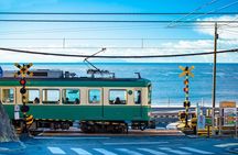 Kamakura Private walking tour (with local experience in option)