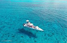 2 Tank Morning Dive: Scuba Diving in Cozumel