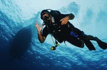 2 Tank Morning Dive: Scuba Diving in Cozumel