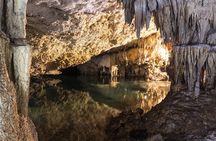 Turtles & Cenote! Half Day from Riviera Maya & Playa del Carmen